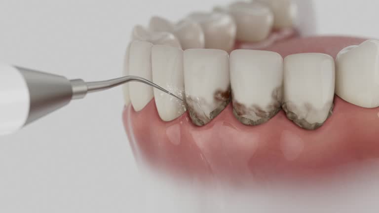 Reliable Dental contractor in Savannah, GA by Dentist Open Now